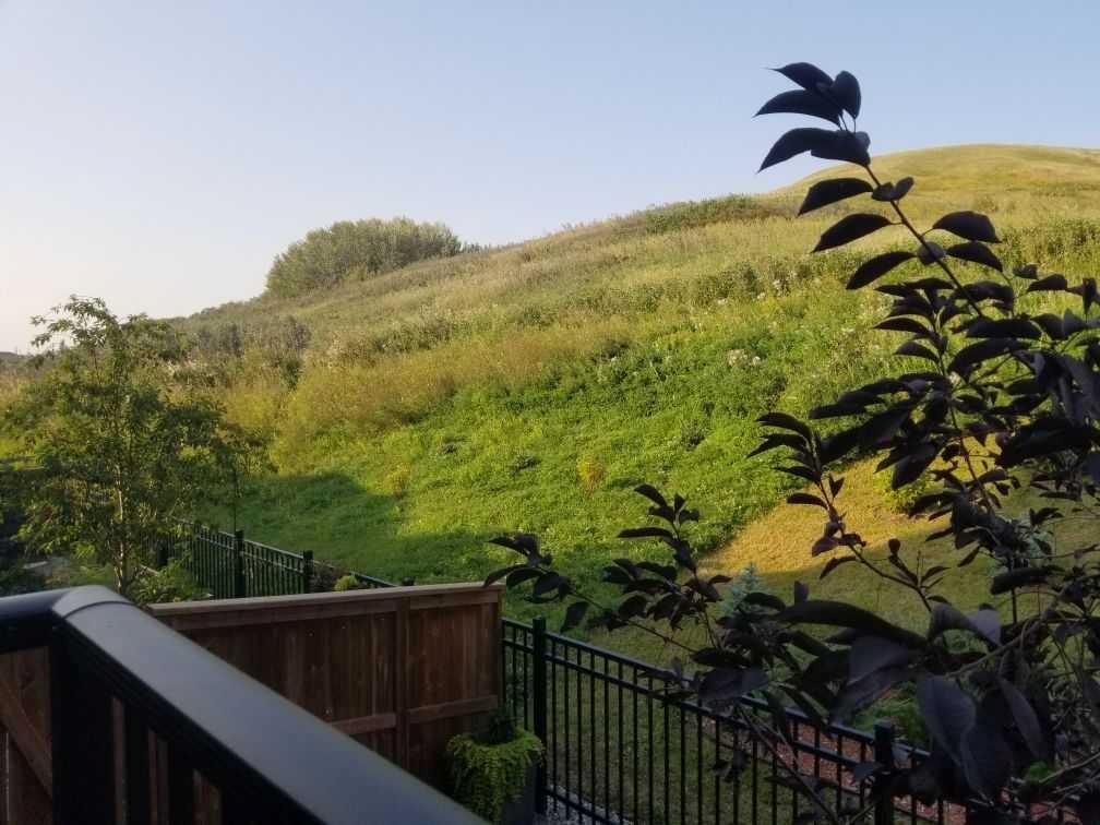 214 Cranbrook Square SE, Calgary, Alberta, T3M 3E3